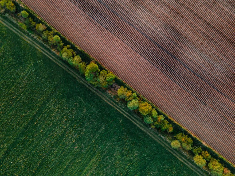 1 ha ile to m2 działki